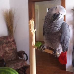 Meet your Posher, Kim